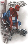Amazing Spider-Man #33 Dell'Otto Trade Exclusive Variant Underdog Comics Shop Peg City