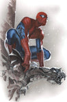 Amazing Spider-Man #33 Dell'Otto Exclusive Variant Underdog Comics Shop Peg City