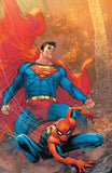 Spiderman/Superman #1 Marco Checchetto Exclusive Virgin Variant Underdog Comics Canada