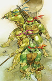 Teenage Mutant Ninja Turtles #20 Hill SDCC Exclusive Variant Virgin Variant Underdog Comics Canada