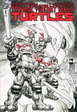 Teenage Mutant Ninja Turtles #1 Freddie Williams Exclusive Variant Set Underdog Comics Canada