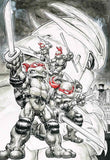 Teenage Mutant Ninja Turtles #1 Freddie Williams Exclusive Variant Virgin Underdog Comics Canada