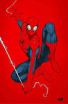 Amazing Spider-Man #19 David Nakayama  Virgin Exclusive Variant Comic Book Marvel Comics peg city comics underdog comics