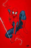Amazing Spider-Man #19 David Nakayama  Virgin Exclusive Variant Comic Book Marvel Comics peg city comics underdog comics