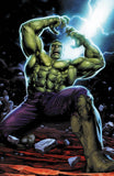 Hulk #7 Jay Anacleto Trade/Virgin Variant Comic Book Set