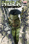 Hulk #1 Marco Turini Trade Variant Comic Book