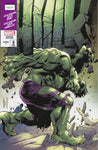 Hulk #2 Stephen Segovia Trade Variant Comic Book