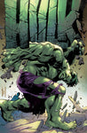Hulk #2 Stephen Segovia Trade/Virgin Variant Comic Book Set