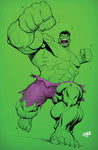 Hulk #11 David Nakayama Virgin  Exclusive Variant Comic Book Marvel Comics