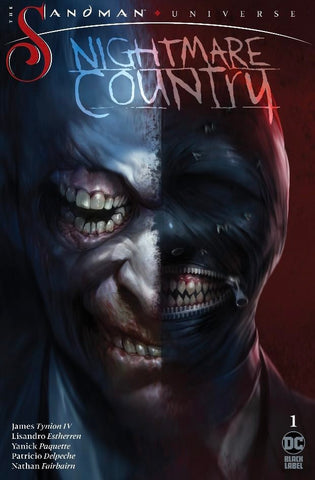 Sandman: Nightmare Country #1 Francisco Mattina Trade Variant Comic Book