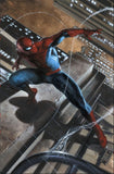 Spider-Man #5 Gabriele Dell'Otto Variants Peg City Comics Underdog Comics